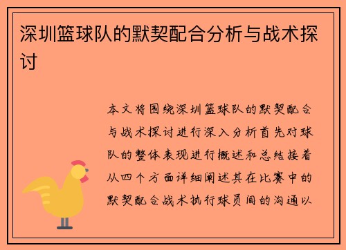 深圳篮球队的默契配合分析与战术探讨